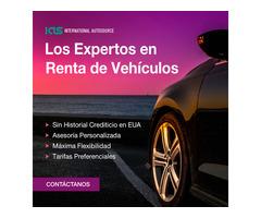 Servicios Financieros, Leasing y Renta de autos en los Estados Unidos