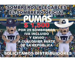 Sombreros Personalizados Oficial De Los Pumas