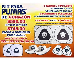 Kit De Parasol, Cortinas Y Aromatizantes Para Auto Y 2 Sombreros Para Estadio