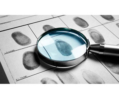 Investigadores Y Detective En Tamaulipas