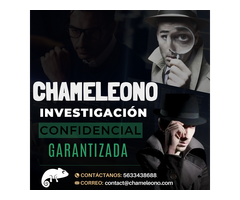 Chameleono detectives privados