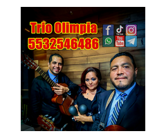 trios musicales CDMX 2025 TRIO