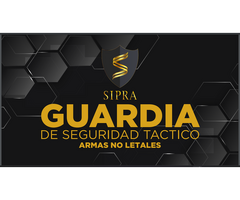 Servicio Guardias De Seguridad Sipra